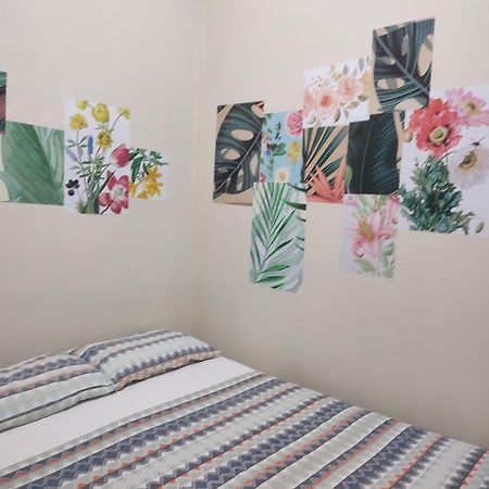 Ti Hostel Trindade Hospeda 외부 사진